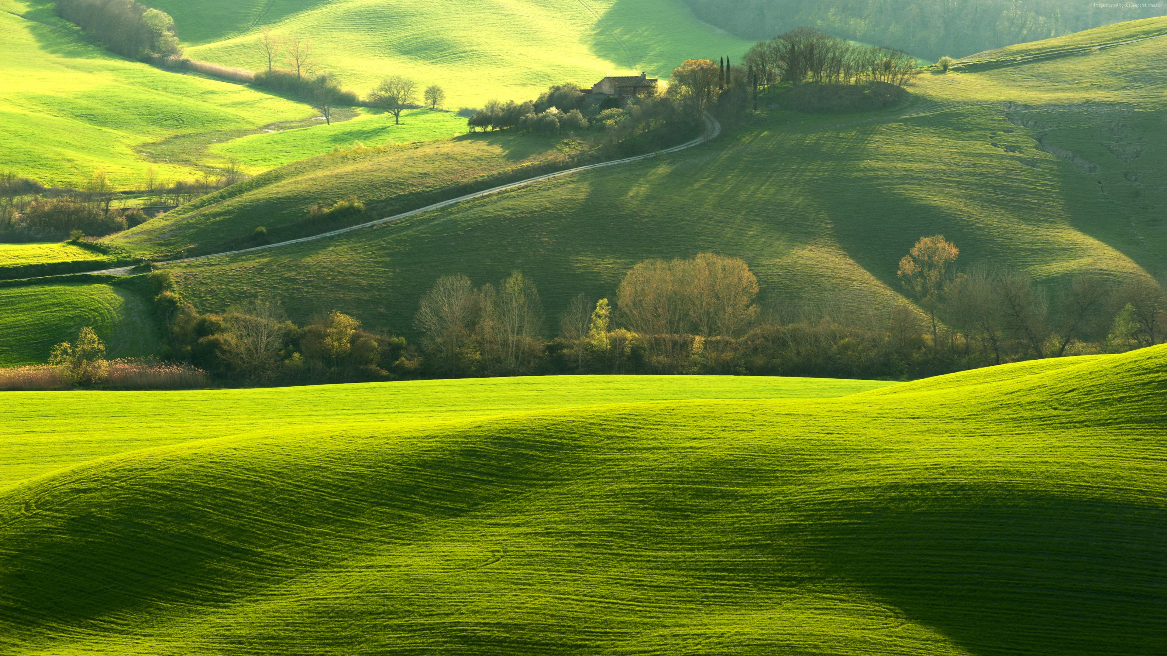 Wallpaper Tuscany, Italy, Europe, hills, green, field, 8k, Travel